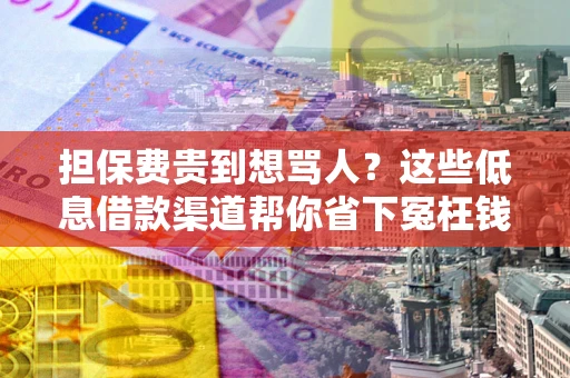 济南担保费贵到想骂人？这些低息借款渠道帮你省下冤枉钱