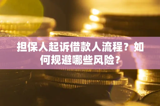 济南担保人起诉借款人流程？如何规避哪些风险？