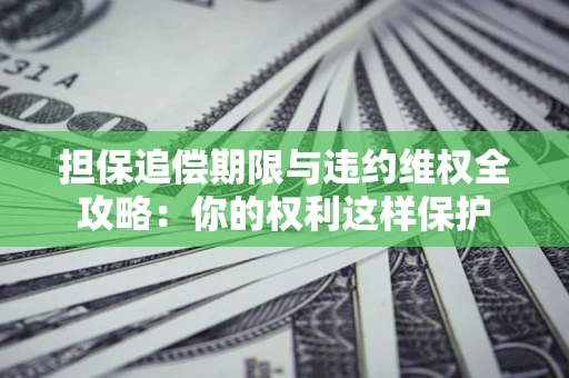 济南担保追偿期限与违约维权全攻略：你的权利这样保护