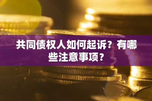 济南共同债权人如何起诉？有哪些注意事项？